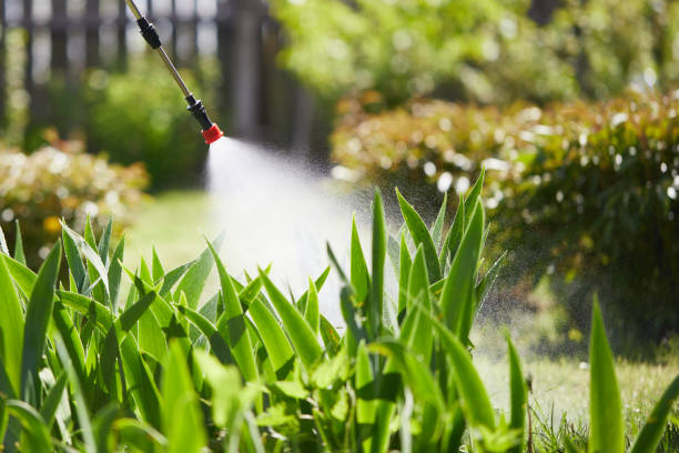 24/7 Emergency Mosquito Control experts in Ladson, SC