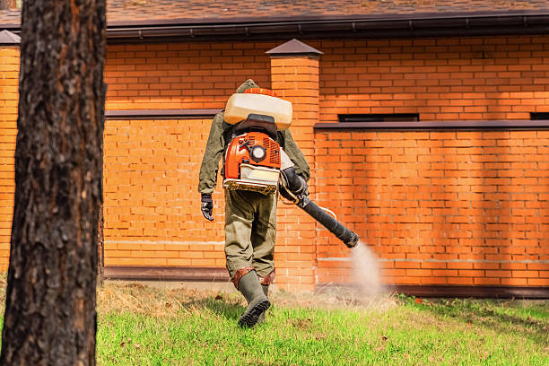 Top rated local Mosquito Control specialists in Ladson, SC